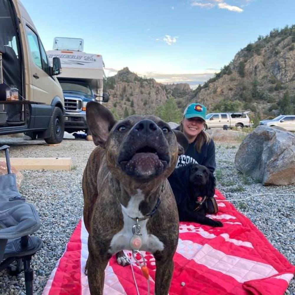 Meet your Posher, Jayme